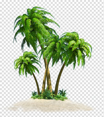 Coconut Tree Computer file, coconut tree transparent background PNG clipart Coconut Tree Computer file, coconut tree transparent background PNG clipart