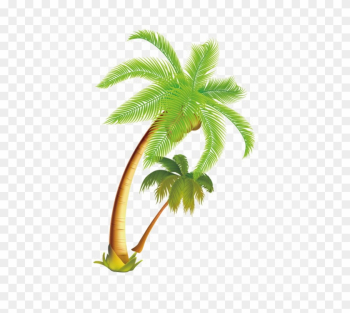 Coconut Tree Png Download Image - Coconut Tree Vector