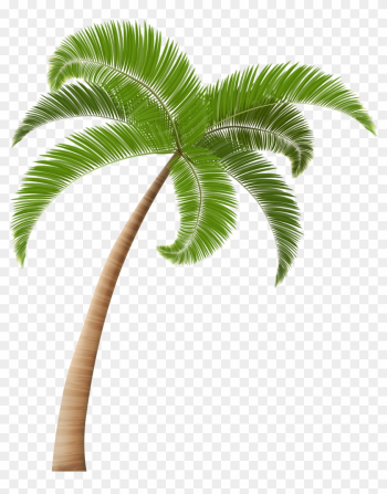 Coconut Tree Png Image Background Source - Coconut Tree Clipart Png