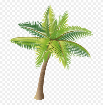 Coconut Tree Vector Material Png - Palm Tree Vector Png