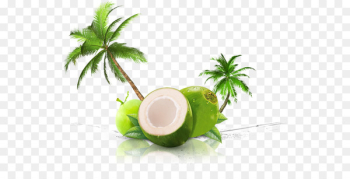 Coconut water Coconut milk Thai cuisine Juice - juice Coconut water Coconut milk Thai cuisine Juice - juice