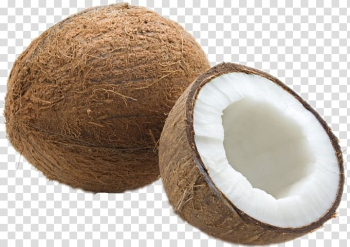 Coconut water Dried Fruit Coconut oil Food, coconut transparent background PNG clipart