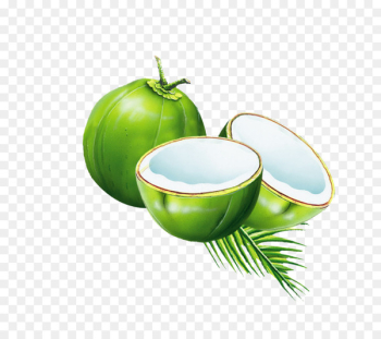 Coconut water Juice Coconut milk powder - coconut Coconut water Juice Coconut milk powder - coconut