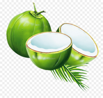 Coconut water Juice Coconut milk powder - coconut Coconut water Juice Coconut milk powder - coconut