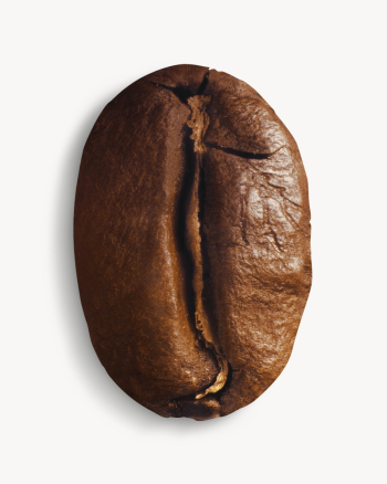 Coffee bean, isolated image | Free Photo - rawpixel Coffee bean, isolated image | Free Photo - rawpixel