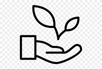 Coffee Bean - Natural Environment Coffee Bean - Natural Environment
