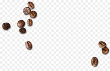 Coffee bean - Scattered coffee beans Coffee bean - Scattered coffee beans