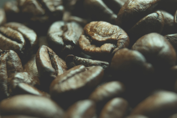 Coffee Beans Coffee Beans