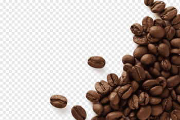 coffee beans, Coffee bean Espresso Cafe Kopi Luwak, Black beans, black Hair, black White, coffee png
