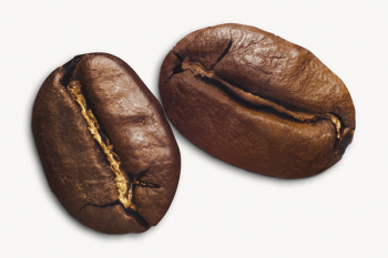 Coffee beans, isolated image | Free Photo - rawpixel Coffee beans, isolated image | Free Photo - rawpixel