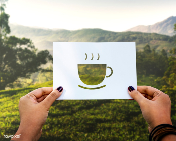 Coffee card relax | Free stock photo - 92324 Coffee card relax | Free stock photo - 92324