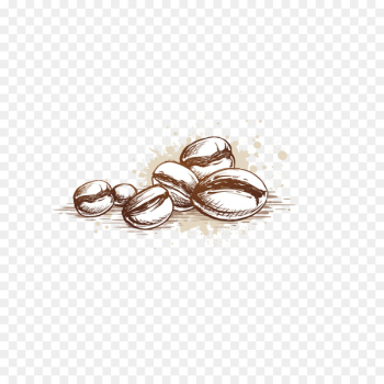 Coffee cup Cafe Coffee bean - Vector coffee beans Coffee cup Cafe Coffee bean - Vector coffee beans