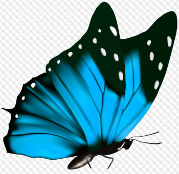 Colección de mariposa PNG con fondo transparente, muchas mariposas PNG