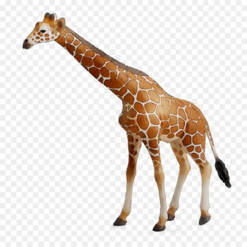 CollectA Action & Toy Figures Reticulated giraffe Jungle Animal -  
