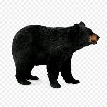 CollectA Camaleon Camerunes Sailfin - L American black bear Grizzly bear -  