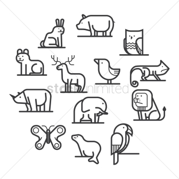 Collection of animals Collection of animals