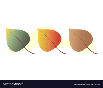 collection of colorful autumn leaves autumn warm collection of colorful autumn leaves autumn warm