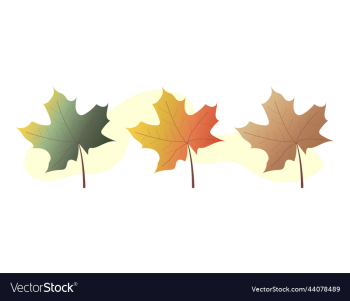 collection of colorful autumn leaves autumn warm collection of colorful autumn leaves autumn warm