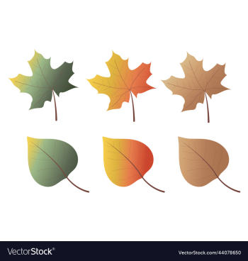 collection of colorful autumn leaves autumn warm collection of colorful autumn leaves autumn warm