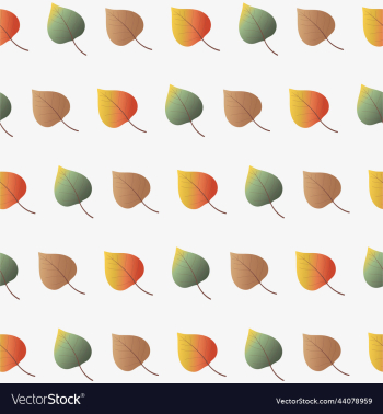 collection of colorful autumn leaves autumn warm collection of colorful autumn leaves autumn warm