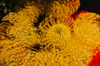 Collection of colourful flower bouquets Collection of colourful flower bouquets