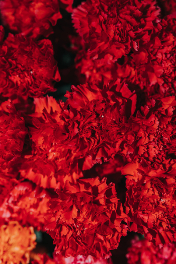 Collection of colourful flower bouquets Collection of colourful flower bouquets