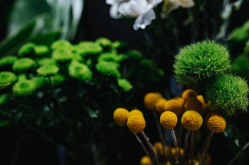 Collection of colourful flower bouquets Collection of colourful flower bouquets