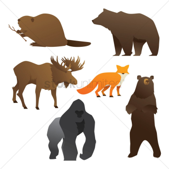 Collection of wild animals