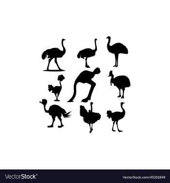 collection set bird ostrich design collection set bird ostrich design
