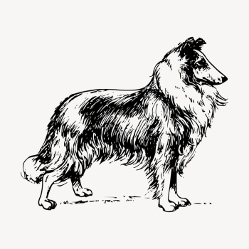 Collie dog drawing, hand drawn | Free Vector - rawpixel