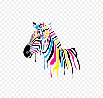 Color Graphic design - Color Zebra Color Graphic design - Color Zebra