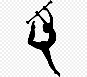 Color guard Baton twirling Colour guard Winter guard Marching band ...