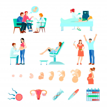 Colored isometric midwifery obstetrics gestation icon set with stages of pregnancy and seeing a doctor Free Vector