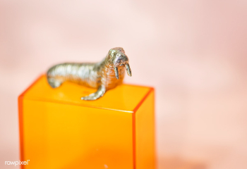 Colorful and bright miniature walrus figures | Free stock photo - 412770 Colorful and bright miniature walrus figures | Free stock photo - 412770