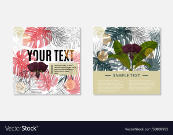 colorful design template set dark purple tacca