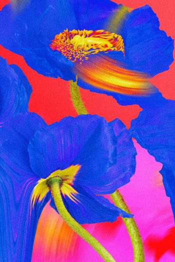 Colorful flower background wallpaper, trippy… | Free stock illustration | High Resolution graphic