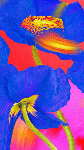 Colorful flower background wallpaper, trippy… | Free stock illustration | High Resolution graphic