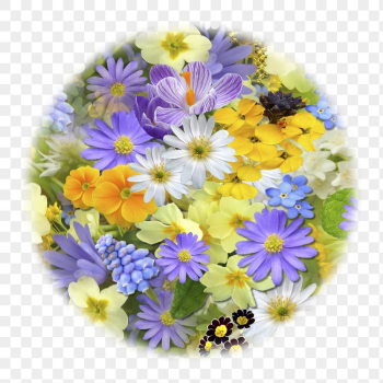 Colorful flowers png badge sticker, | Free PNG - rawpixel