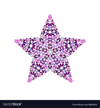 Colorful geometrical isolated petal ornament star vector image Colorful geometrical isolated petal ornament star vector image