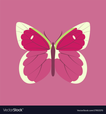 Colorful icon of butterfly isolated on pink vector image Colorful icon of butterfly isolated on pink vector image