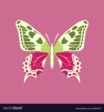 Colorful icon of butterfly isolated on pink vector image Colorful icon of butterfly isolated on pink vector image