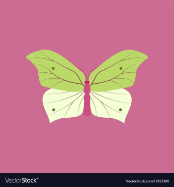 Colorful icon of butterfly isolated on pink vector image Colorful icon of butterfly isolated on pink vector image
