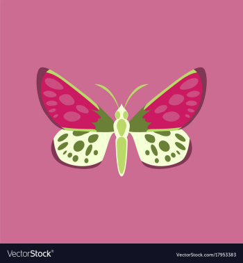 Colorful icon of butterfly isolated on pink vector image Colorful icon of butterfly isolated on pink vector image