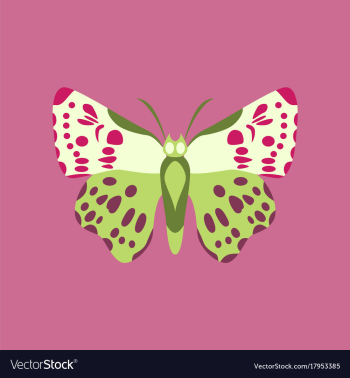 Colorful icon of butterfly isolated on pink vector image Colorful icon of butterfly isolated on pink vector image