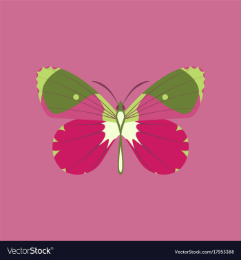 Colorful icon of butterfly isolated on pink vector image Colorful icon of butterfly isolated on pink vector image