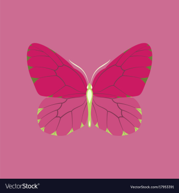 Colorful icon of butterfly isolated on pink vector image Colorful icon of butterfly isolated on pink vector image
