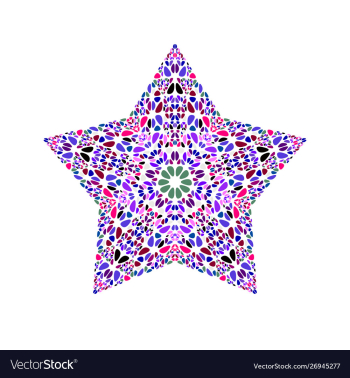 Colorful isolated abstract flower star symbol vector image Colorful isolated abstract flower star symbol vector image