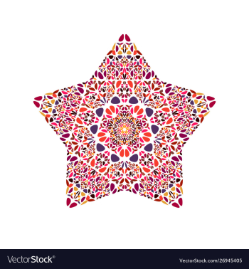 Colorful isolated floral ornament star symbol vector image Colorful isolated floral ornament star symbol vector image