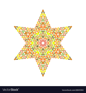 Colorful isolated geometrical petal ornament star vector image Colorful isolated geometrical petal ornament star vector image