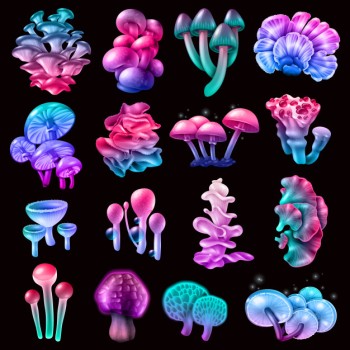 Colorful magic mushrooms collection Free Vector Colorful magic mushrooms collection Free Vector